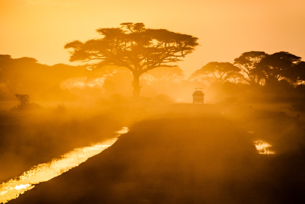 africa Kenya Parc Amboseli